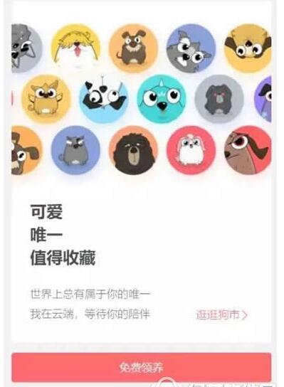 领养百度莱茨狗的图文教程