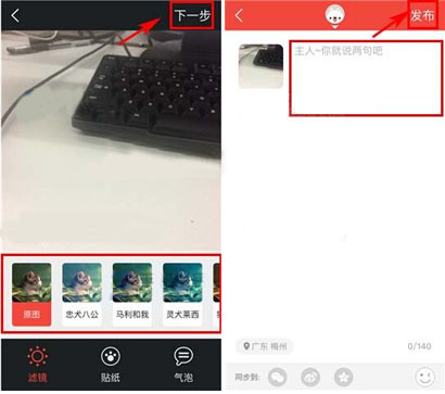 有宠app发动态的基础操作过程