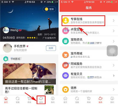有宠app发布求助的操作过程