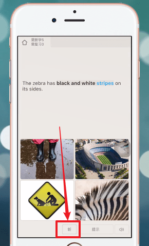 百词斩APP补打卡的详细操作