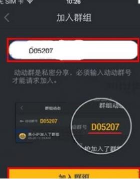 动动APP加群的操作步骤
