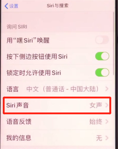 iphone11中设置siri性别的详细方法