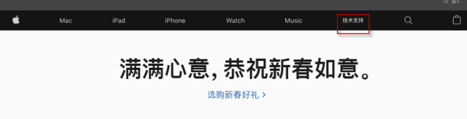 苹果11查看激活日期的操作方法