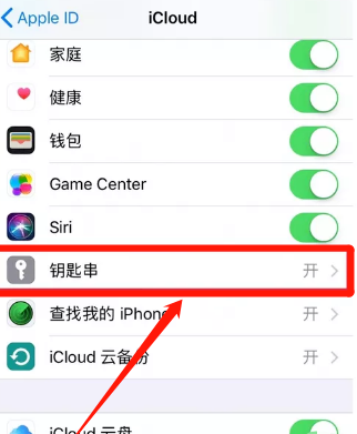 iPhone11怎么设置iCloud钥匙串 iPhone11设置iCloud钥匙串方法