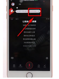 全民K歌中唱SSS级的具体步骤