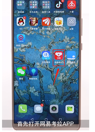 网易考拉中加入购物车的详细图文讲解