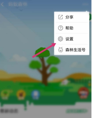 在支付宝中开启能量可收取提醒的步骤介绍