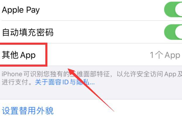 苹果微信支付怎么设置面部识别 苹果微信支付设置面部识别的简单步骤