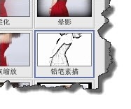 Picasa打造铅笔素描效果的操作过程