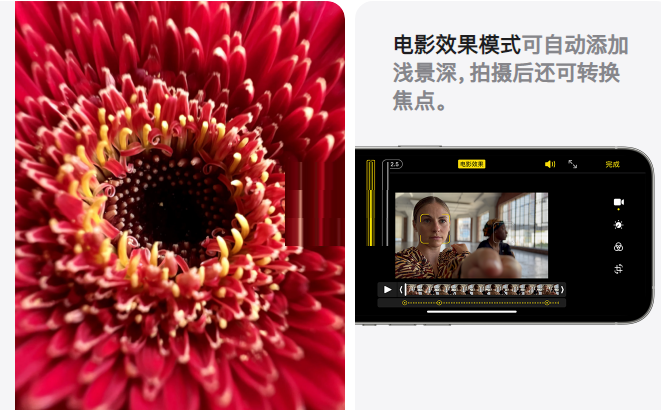 iphone13系列参数是什么?iphone13系列参数对比介绍