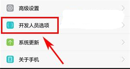 在华为nova3中打开开发者选项的具体步骤