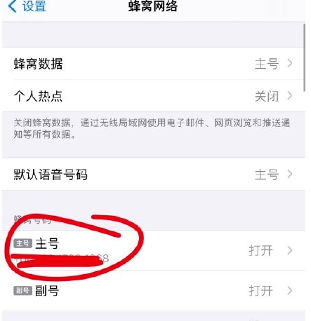 苹果12怎么开启volte功能？苹果12开启volte功能教程