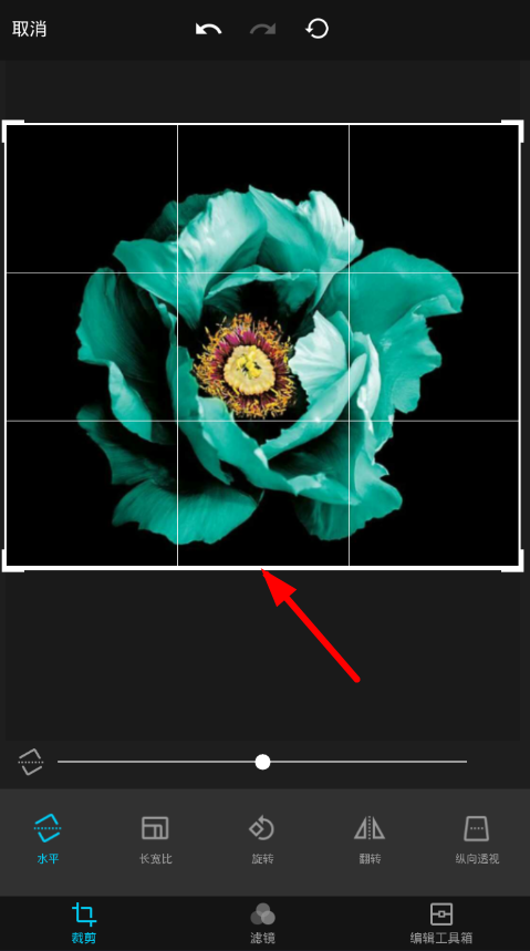 在Mix滤镜大师中裁剪图片的方法介绍