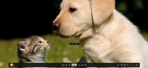 在射手播放器中修改字幕的图文教程