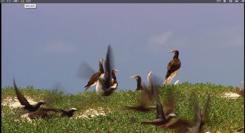 在射手播放器中修改字幕的图文教程