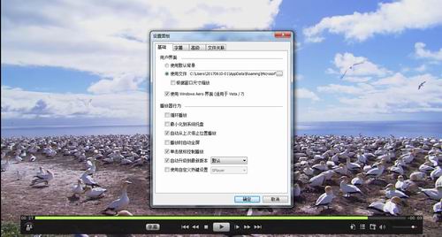 在射手播放器中修改字幕的图文教程