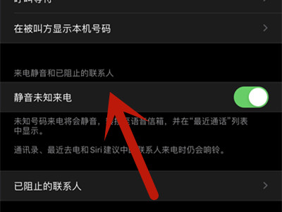 苹果11骚扰电话自动拦截在哪里开启?苹果11骚扰电话自动拦截开启方法