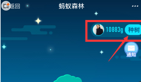 在支付宝蚂蚁森林中获得环保证书的图文教程