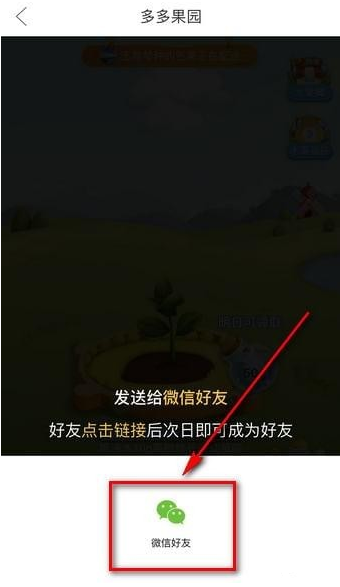 在拼多多果园APP中加好友的图文教程