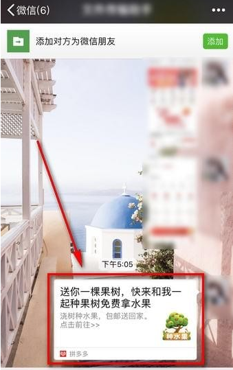 在拼多多果园APP中加好友的图文教程