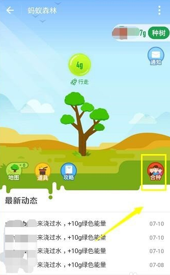 在支付宝蚂蚁森林合种踢人的方法分享