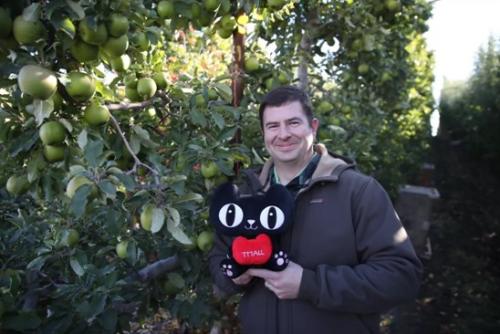 在天猫农场中偷取阳光的详细讲解