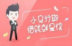 在小马分期白领版APP里进行借款的详细操作