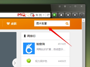 在猎豹浏览器中批量下载图片的方法讲解