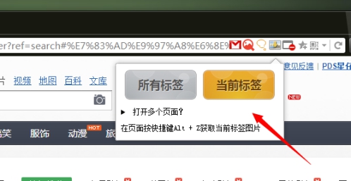 在猎豹浏览器中批量下载图片的方法讲解