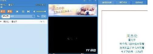 YY伴侣使用的方法介绍