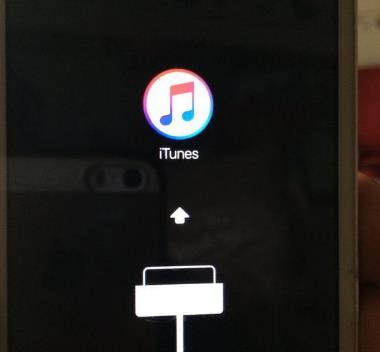苹果手机出现白屏的处理操作介绍