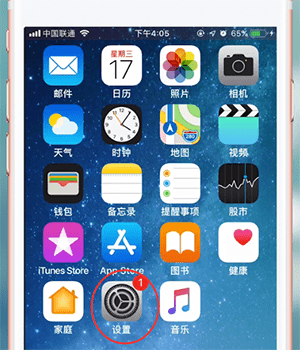 苹果手机查看本机号码的图文操作