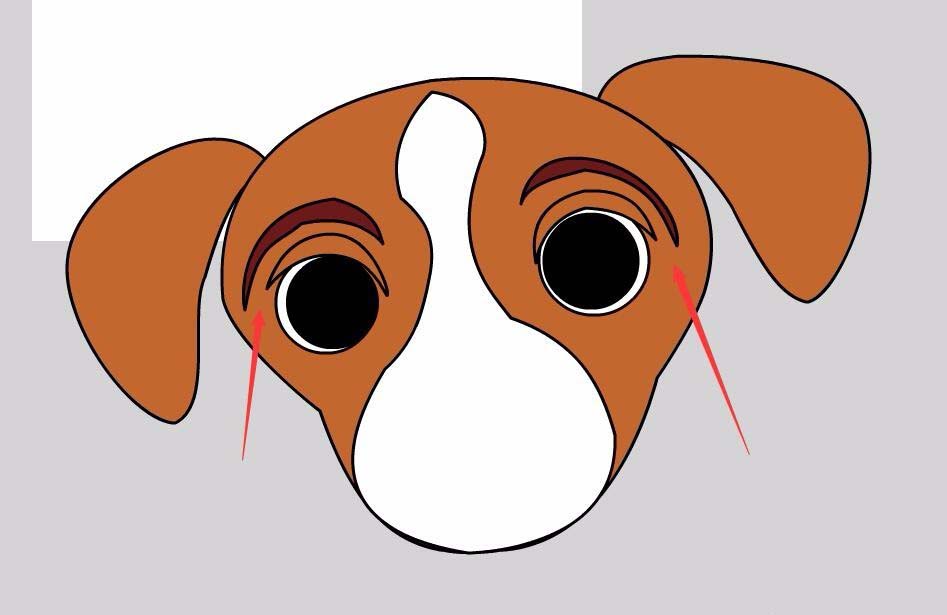 flash制作小狗狗的操作步骤