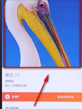 在探探里将头像删掉的详细操作讲解