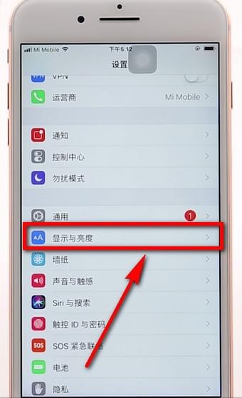 苹果手机调整字体的操作过程
