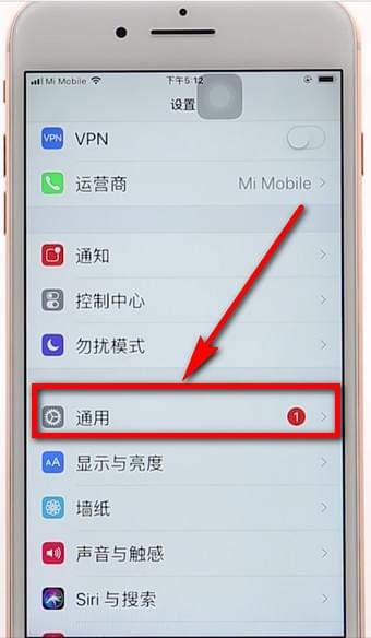 苹果手机调整字体的操作过程