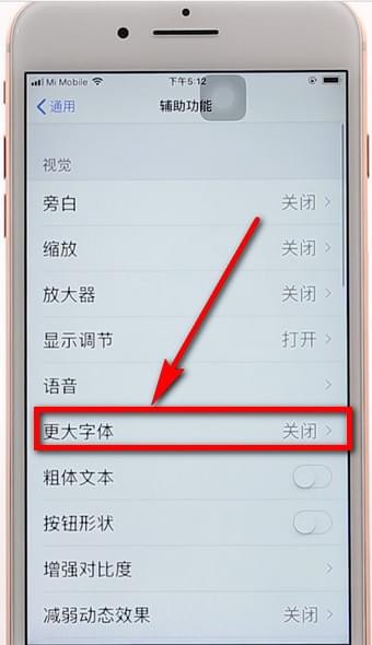 苹果手机调整字体的操作过程