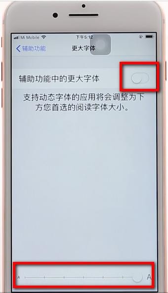 苹果手机调整字体的操作过程