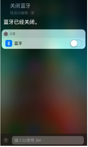 苹果手机设置通过文字召唤Siri的操作过程