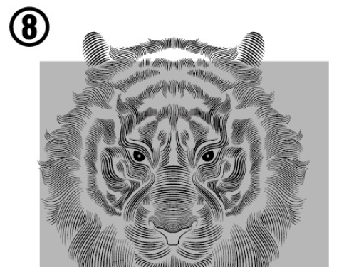 ai制作老虎头像的图文操作