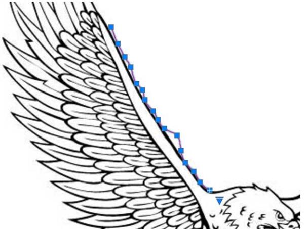 CAD使用曲线工具做出荷花图案的详细操作