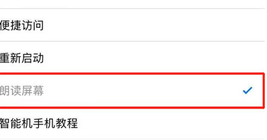 iphonex朗读屏幕的操作流程