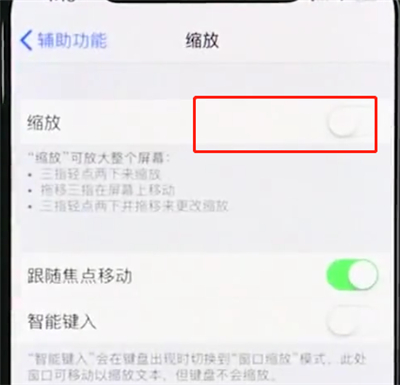 iphonexr使用缩放的详细操作过程
