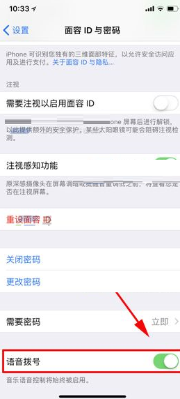 iPhone X设置语音拨号的操作过程