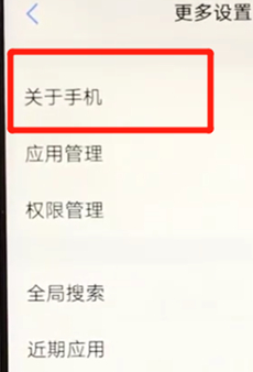 vivoz3开启开发者选项的操作流程