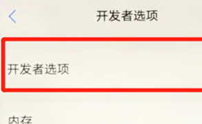 vivoz3开启开发者选项的操作流程