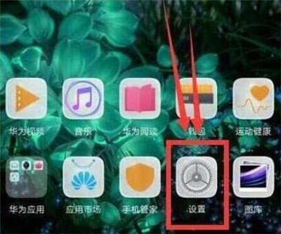 在华为畅享9s中记步数的方法介绍