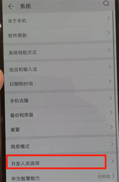 华为p30pro中将开发人员选项关闭的操作方法