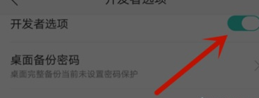 realme x关掉开发者选项的具体操作教程