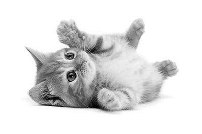 Photoshop制作素描效果的详细操作步骤